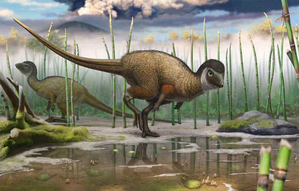 A Jurassic ornithischian dinosaur from Siberia with both feathers and scales