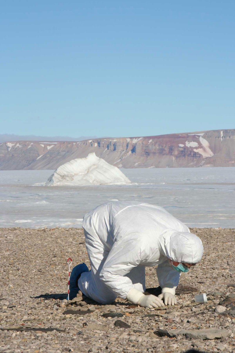 Looking for ancient human remains in northern Greenland. Credit and copyright: Claus Andreasen.