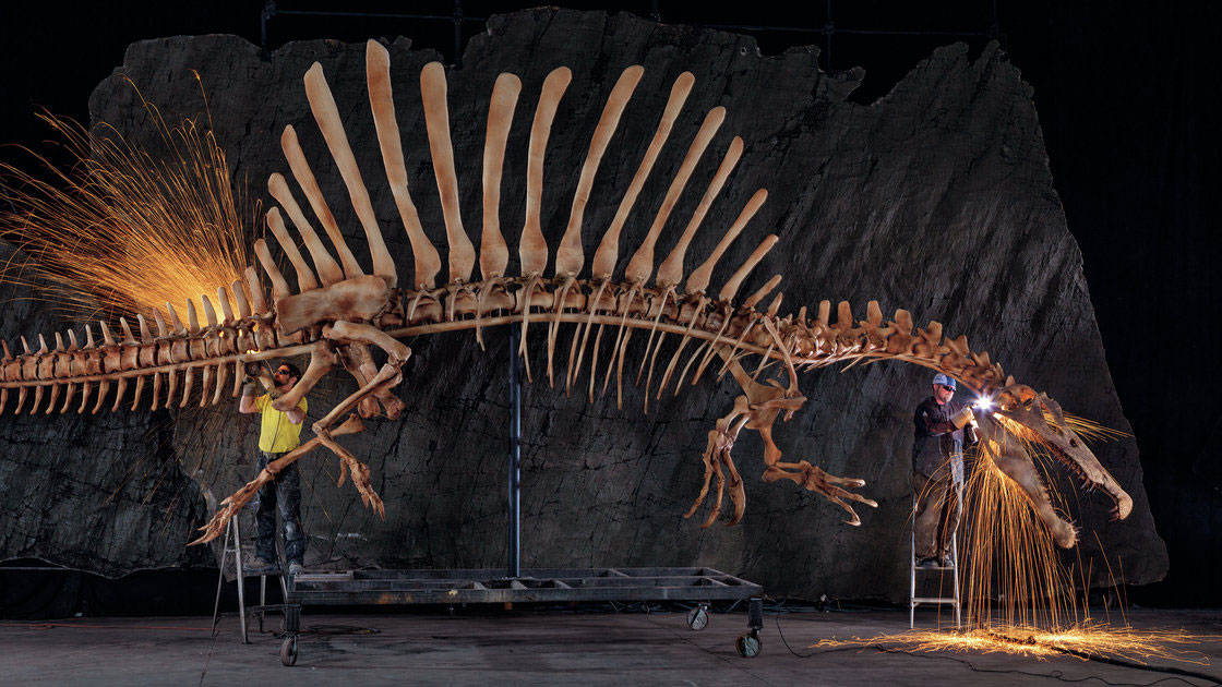 Workers at the National Geographic Museum in Washington grind the rough edges off a life-size replica of a spinosaurus skeleton (Mike Hettwer/National Geographic).