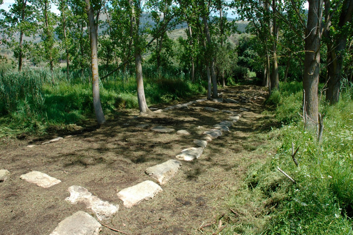 Fig. 3. Detail of the wall preserved in the marshland.