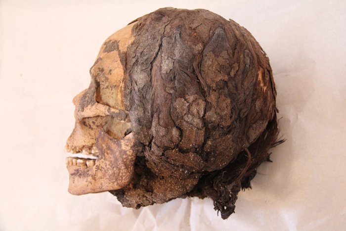 Elaborate hairstyles puzzle archaeologists of Amarna Project