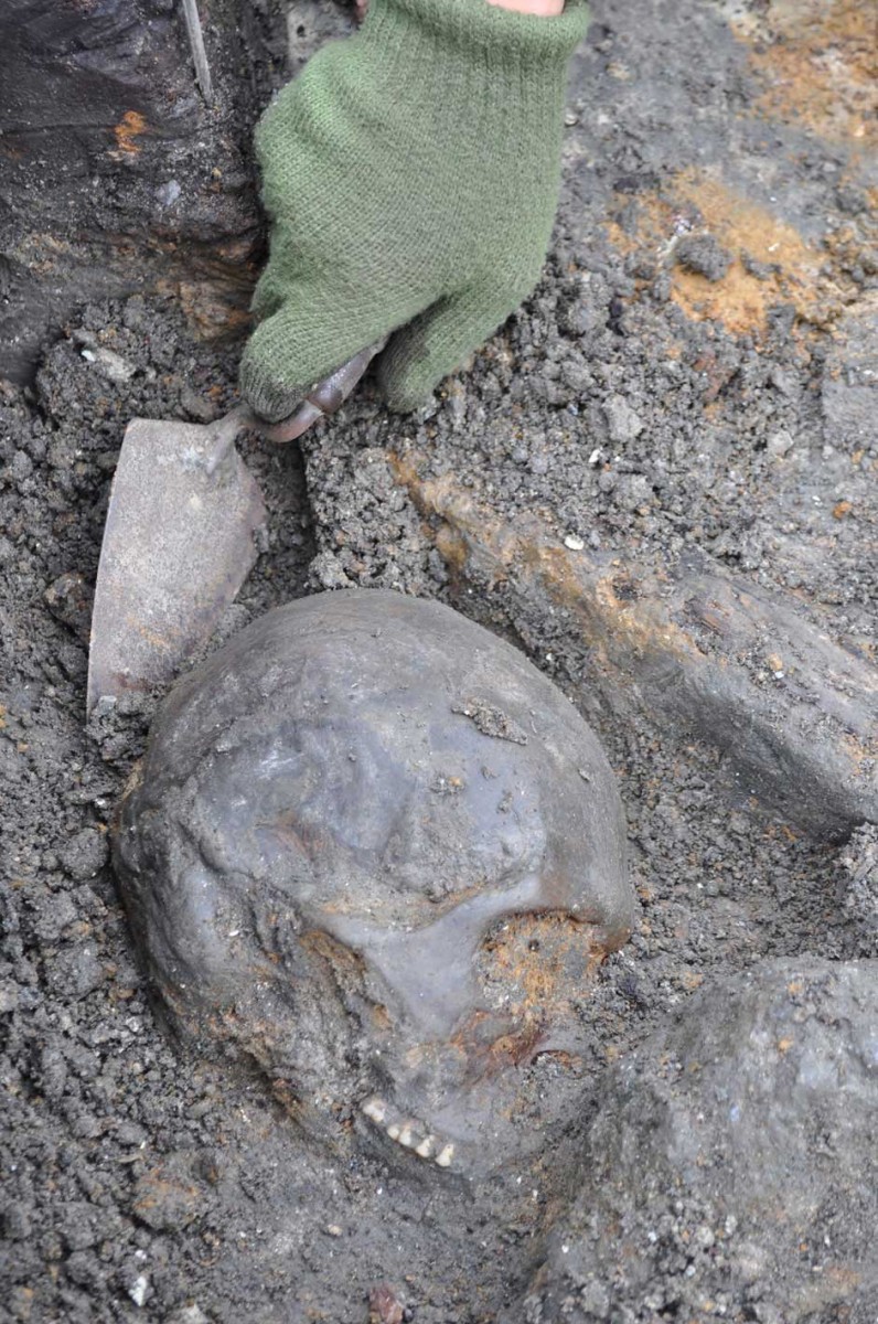 This skull, from a Swedish archaeological site at Kanaljorden,
Motala, central Sweden, is thought to have come from a hunter-gatherer who died there about 8,000 years ago.
