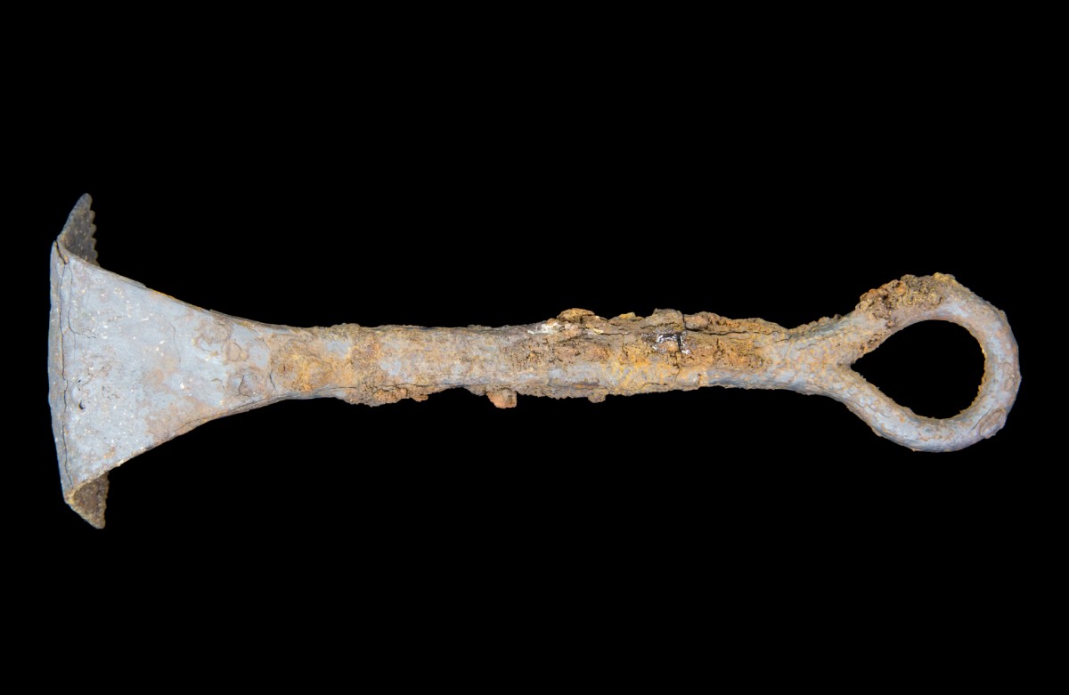 Fig. 9. Iron ‘curry comb’ found with the chariot fittings. Credit: University of Leicester. 