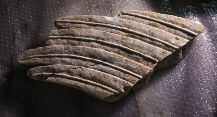 Part of the Sphinxes' wings found during the Amphipolis excavations. 