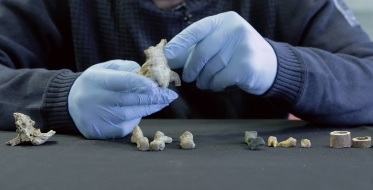 Ancient Europeans remained intolerant to lactose