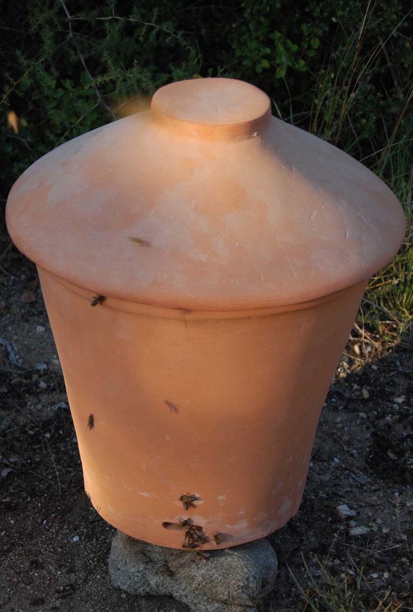 Fig. 6. The vertical beehive with its lid, after the colony has been installed in it. 