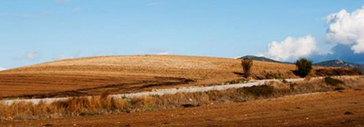 Communities, Landscapes, and Interaction in Neolithic Greece