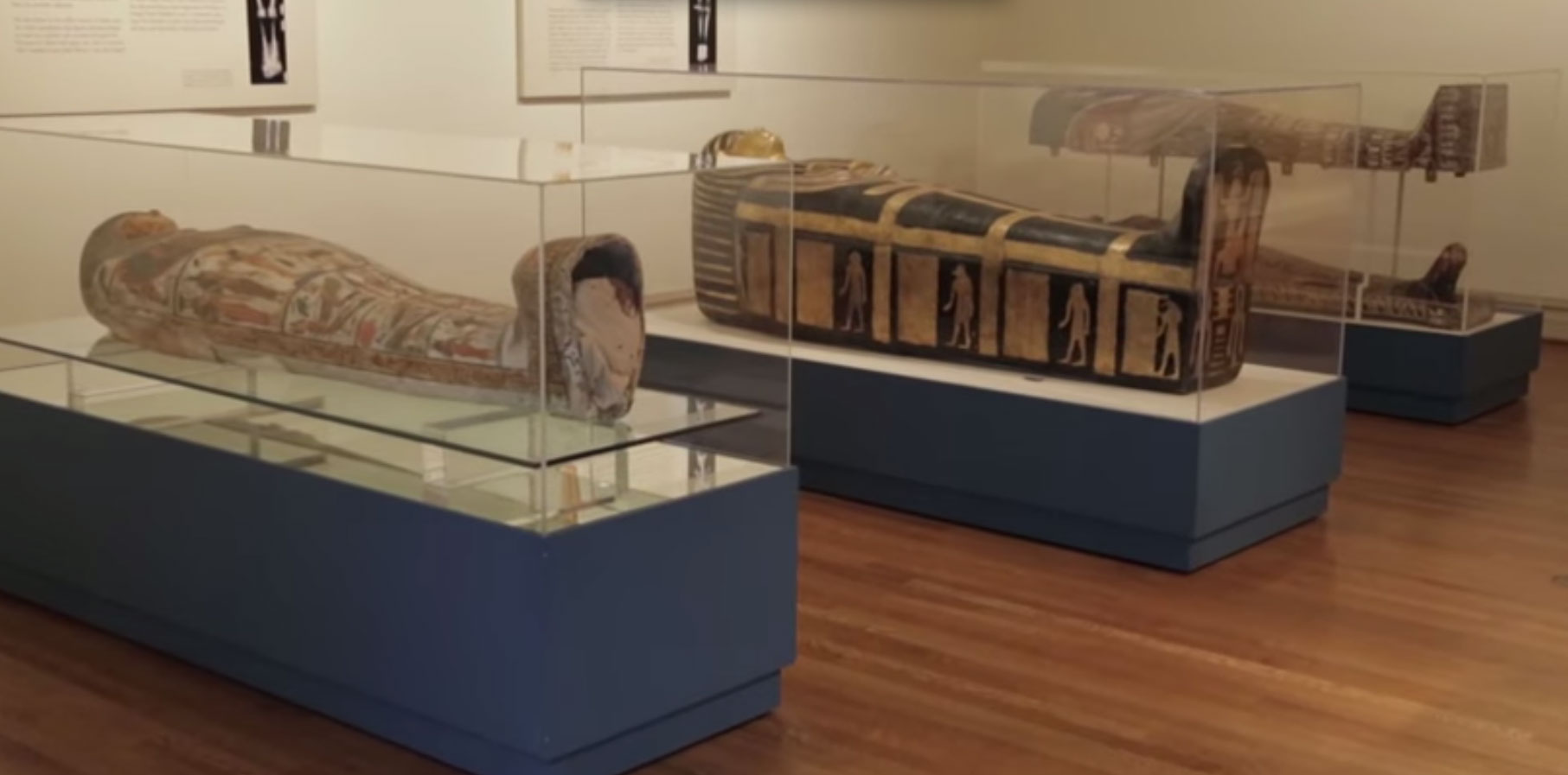 Three Egyptian mummies receive stateoftheart scanning