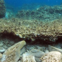 Sunken parts of the Stadion District found in the waters off Delos