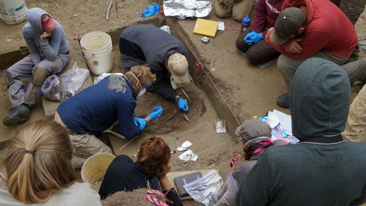 From the excavation works. UAF, photo courtesy of Ben Potter.