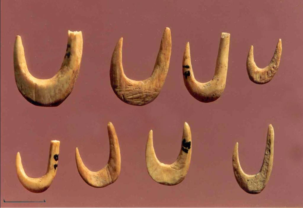 Fig. 4. Bone fish hooks from the Mesolithic strata in the Cave of Cyclope, Youra.