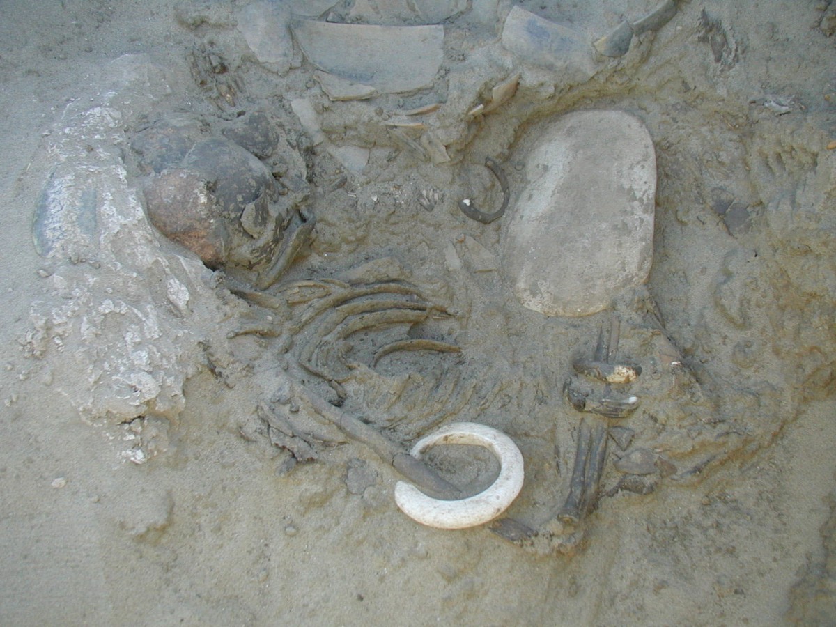 One of the graves at the Neolithic cemetery in Nubia (Sudan), containing a skeleton and plant material deposited behind the skull. Copyright: D. Usai/ S. Salvatori.