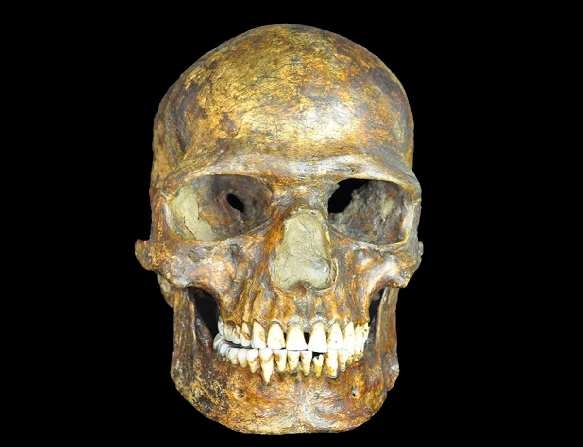 The DNA of modern Europeans may date back 37,000 years