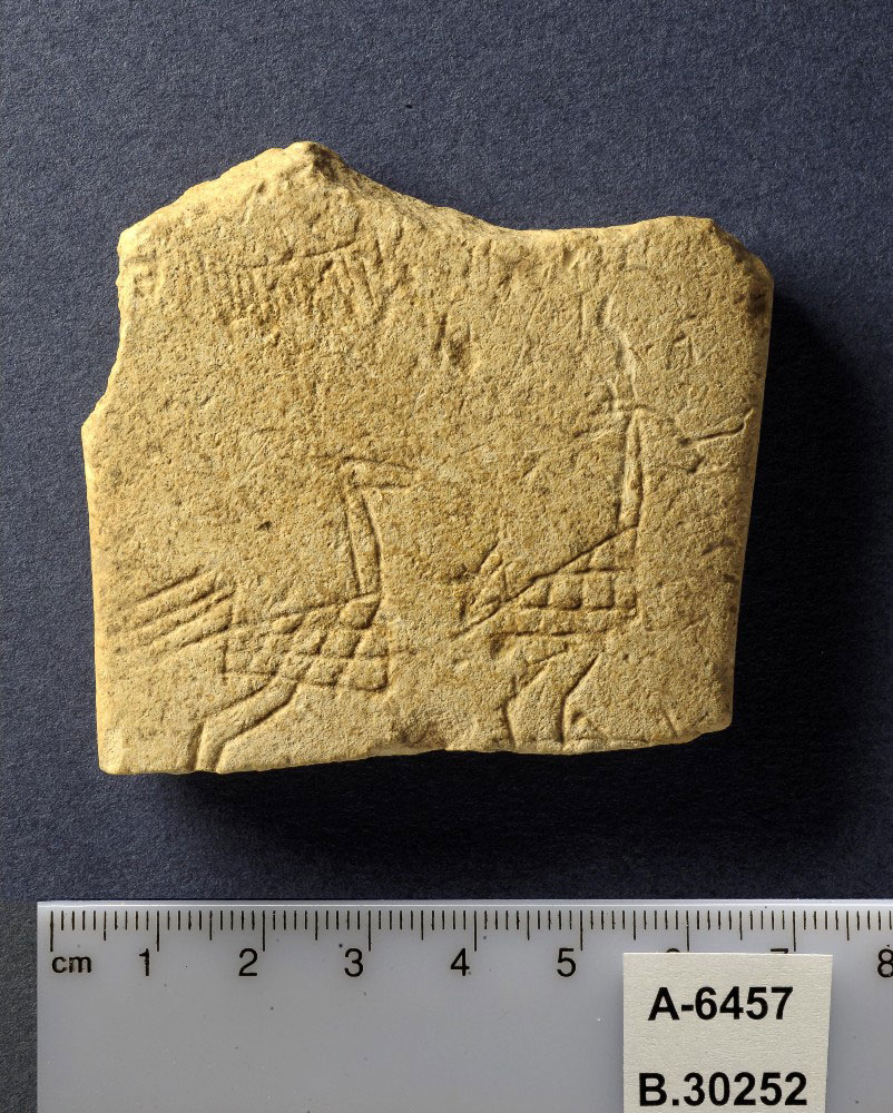 Fig. 2. Animal motif and eyes found on stone palette found at Ein Zippori. For a drawing of the engraved picture, see fig. 6.