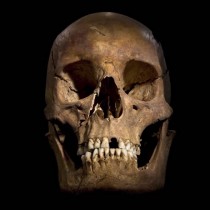 The evidence is overwhelming that these are the remains of Richard III!