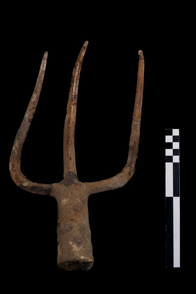 A three-pronged pitchfork discovered at the site. Photo credit: Associated Press/Cooperative Archaeologia.