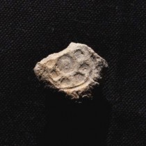 Clay seals prove existence of David and Solomon