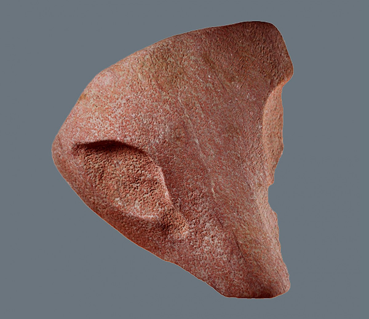 Fig. 9. Stone head of a feline. 