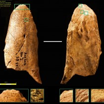 Stone Age man wasn’t necessarily more advanced than the Neanderthals