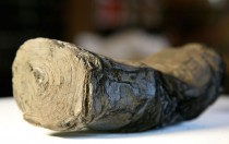 Content of charred papyri from volcano eruption revealed