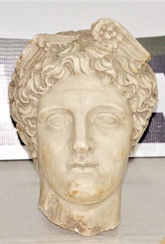 The Hermes head was seized after a three-month operation. (DHA photo)
