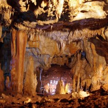 55,000-year-old skull links modern man in vicinity of Neanderthals