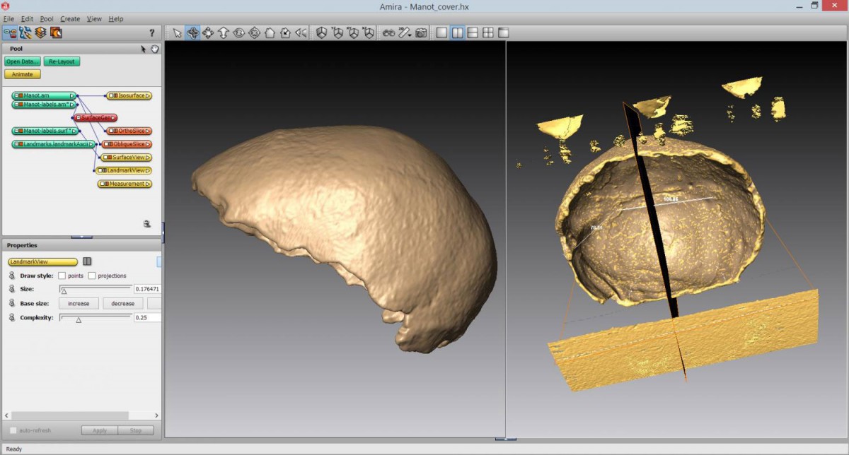 The Manot specimen is on the computer screen, in lateral view (left) and from inside (right). Credit: Copyright: Gerhard Weber.

