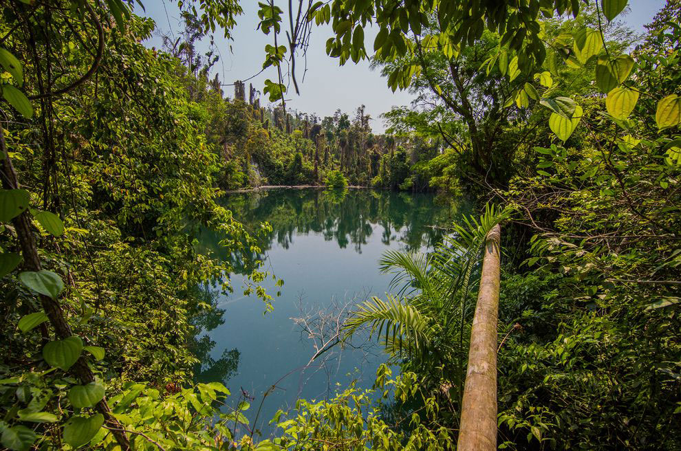 A Cara Blanca pool, explored by archaeologists. Photo Credit: Tony Rath Photography.