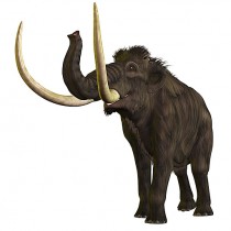 Study casts doubt on mammoth-killing cosmic impact