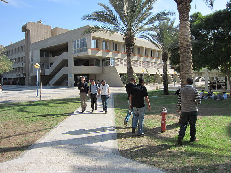 Israeli Post-doctoral Fellows