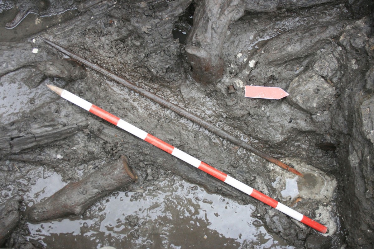 La Draga: Complete bow found during the excavations in 2012.