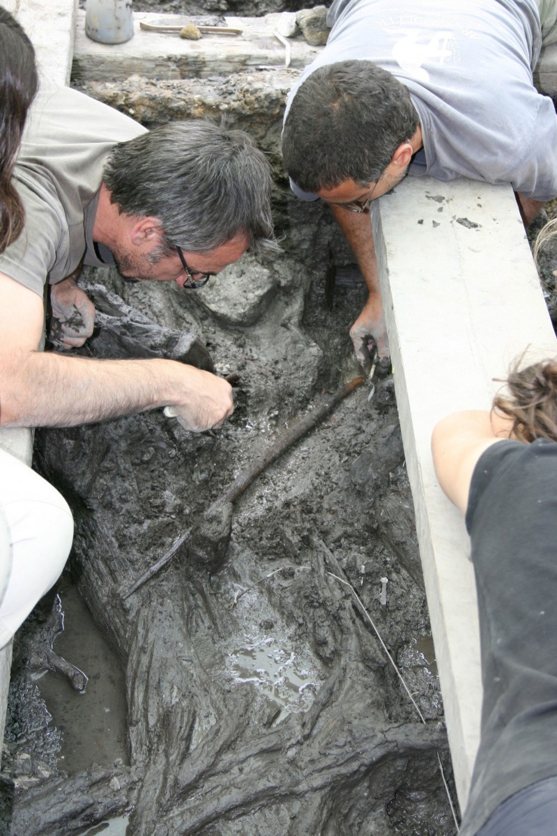 La Draga: View of the excavations in 2012.