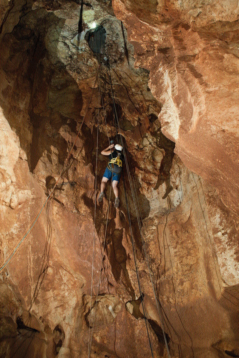 At the beginning of excavations, the only possible entry to the cave was to rappel from the hole the bulldozer had discovered. Photo: Assaf Peretz, Israel Antiquities Authority.