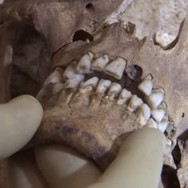 Video reveals potential ‘killer blow’ to King Richard III