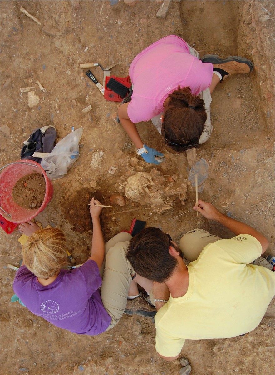 Field School students excavate human remains buried in the post-medieval churchyard at Badia Pozzeveri.