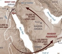 New light shed at Homo Sapiens stay in Arabia through tool evolution