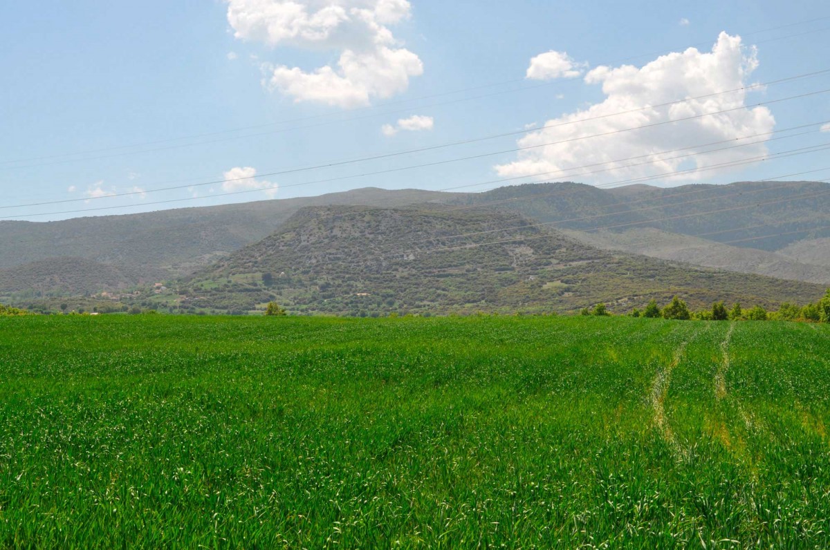 Fig. 3. Eastern view of the castle of Kteni.