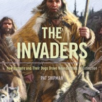 The Invaders: How Humans and Their Dogs Drove Neanderthals to Extinction