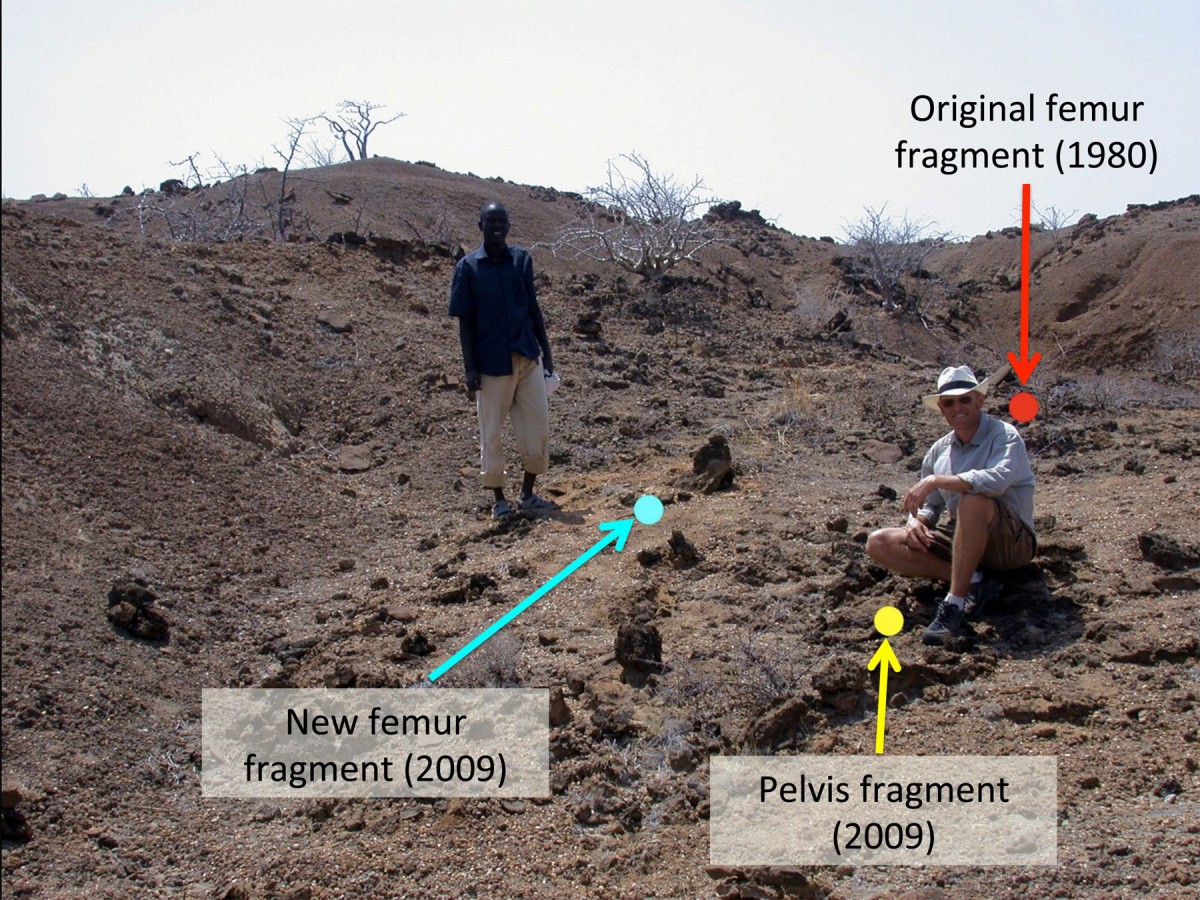 Hilary Sale and paper co-author Matthew Skinner pose at the Koobi Fora site in Kenya where they uncovered the ancient fossils.