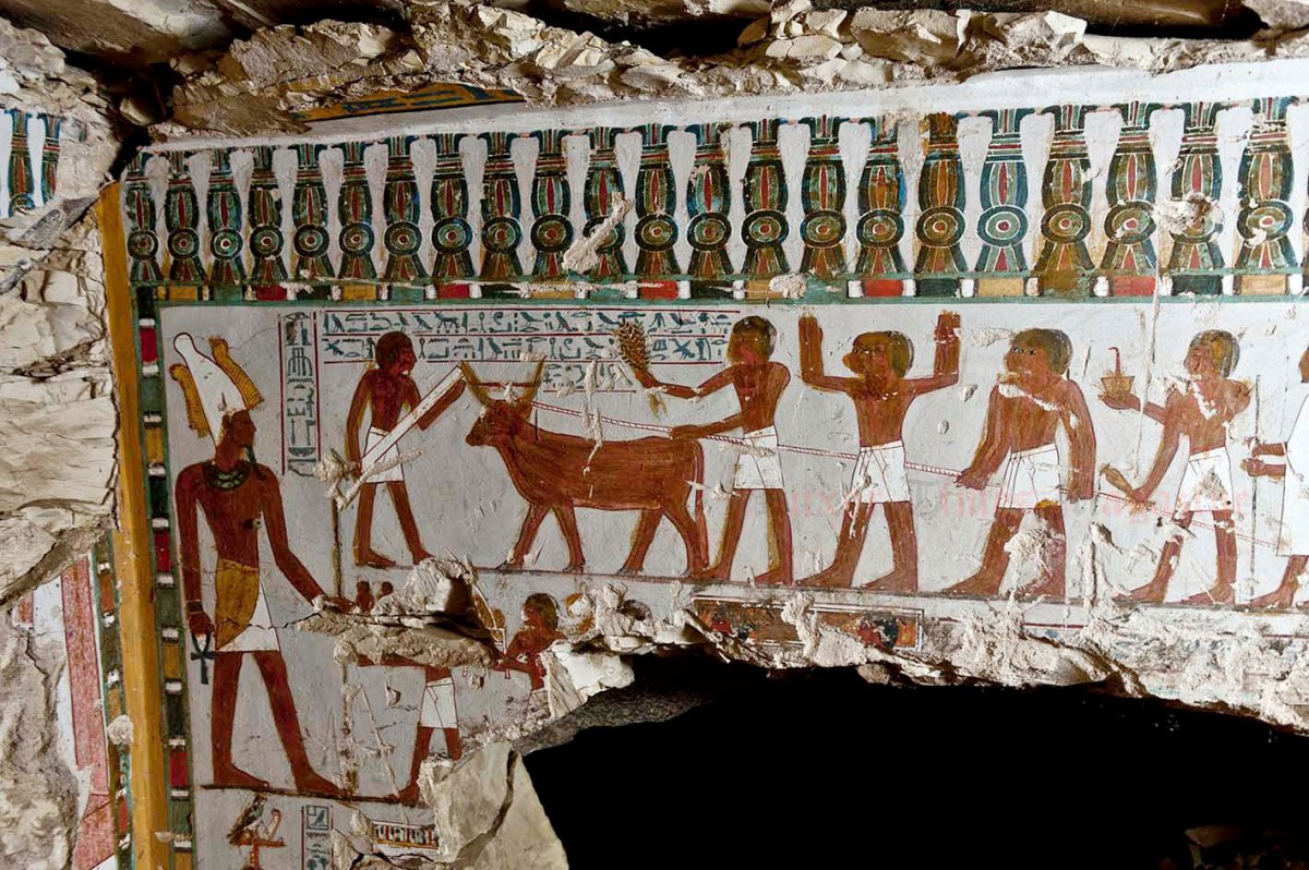 Daily life scenes depicted on wall paintings of the tomb discovered in Qurna. 