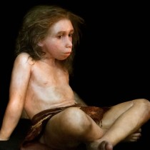 Ossicle of Neanderthal child reconstructed