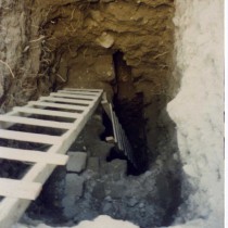 Human parasites in medieval cesspit reveal links between Middle East and Europe