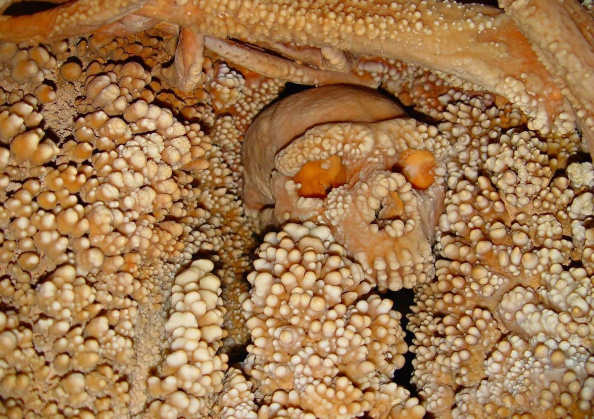 Altamura man, a fossil skeleton of the genus Homo found over 20 years ago in a  cave in Apulia, seems to date back to approximately 150,000 years ago. This was  shown in a study recently published in the Journal of Human Evolution, carried out  by the Sapienza University of Rome and the University of Florence. The study results  show that the skeleton seems to store the most ancient DNA of a Neanderthal  ever extracted so far [Credit: Redazione ResearchItaly].
