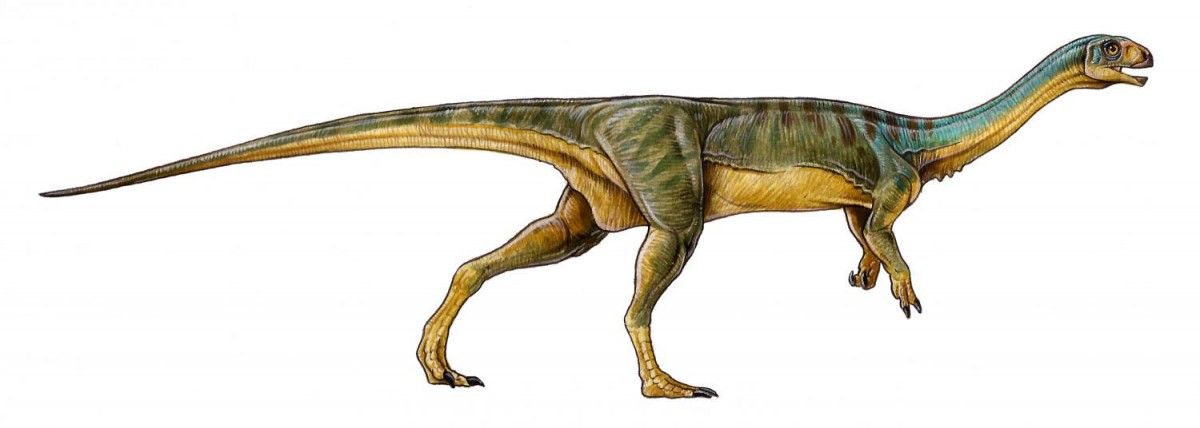 Chilesaurus diegosuarezi. Credit: University of Birmingham.