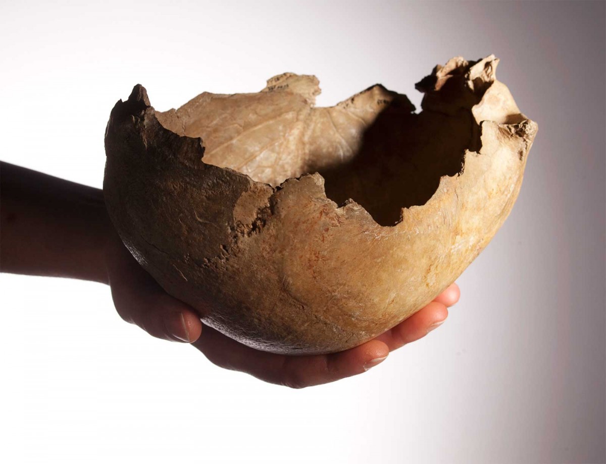 Skull bowl. Credit: © The Trustees of the Natural History Museum, London.