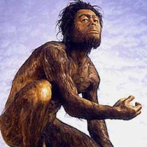 Complex cognition shaped the Stone Age hand axe