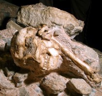 New dating method says Little Foot is 3.67 million years old