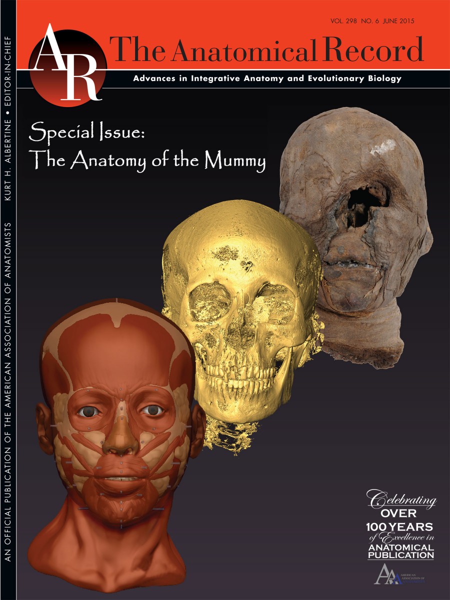 “The Anatomy of the Mummy”