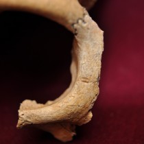 Violent acts as a political strategy of control in Pre-Columbian Bolivia