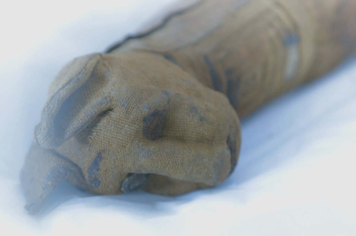 The team discover that there is less inside this mummified cat than they expected. (Snapshot of BBC video)